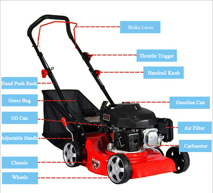Lincoln 123cc Petrol Lawn Mower Self-Propelled Heavy Duty